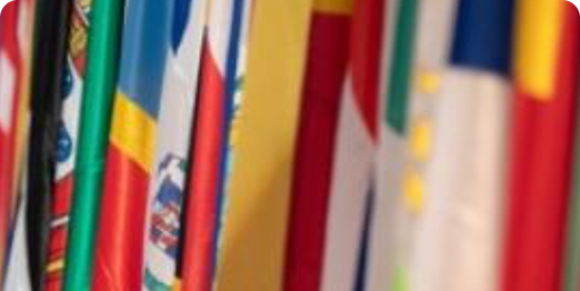 Global citizenship and peace education